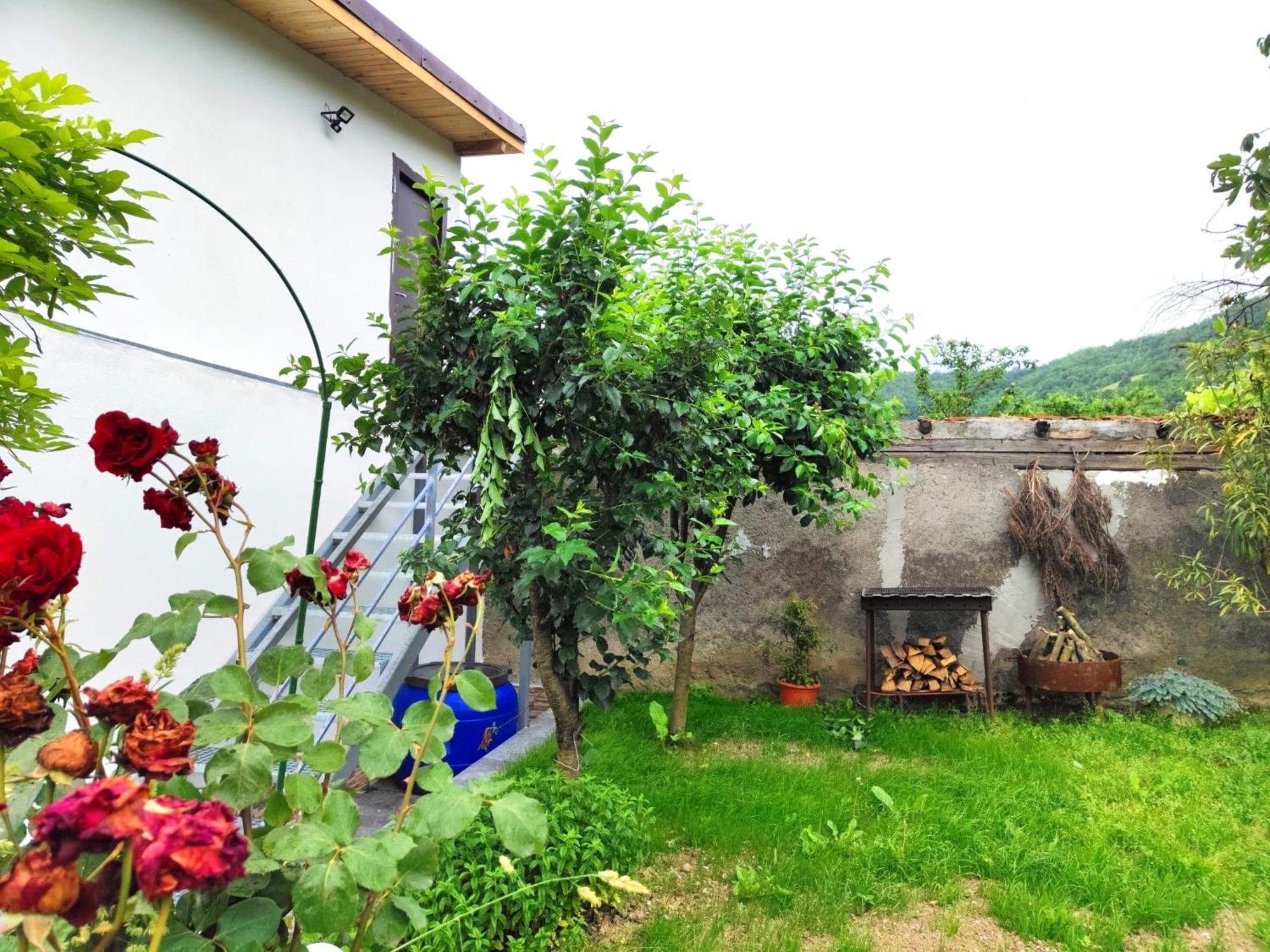 Casa Anna&Criss Appartement Orşova Buitenkant foto